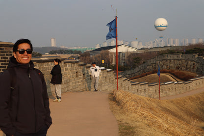 Baseball, Bites & History: Suwon's Ultimate Game Day Tour